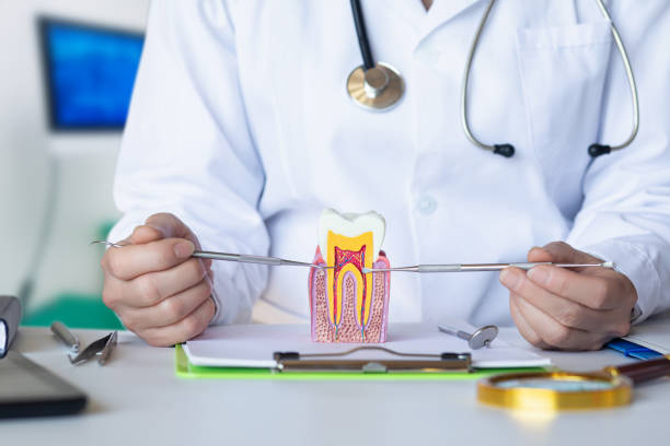 Best Emergency Dental Extractions in Marquette Heights, IL
